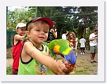 Bird Feeding (5) * 1024 x 768 * (187KB)
